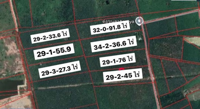 ขายที่ดินแปลงใหญ่ 7 โฉนด ผังเมืองสีม่วงลาย กะเฉด เมืองระยอง  .