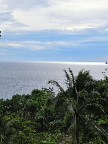 ขายที่ดิน Seaview กะรน ภูเก็ต หาดกะตะ  .