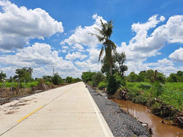 รังสิต คลอง10 หนองเสือ ที่ดินร่องสวน 4 ไร่ ถนนรังสิต-นครนายก   .