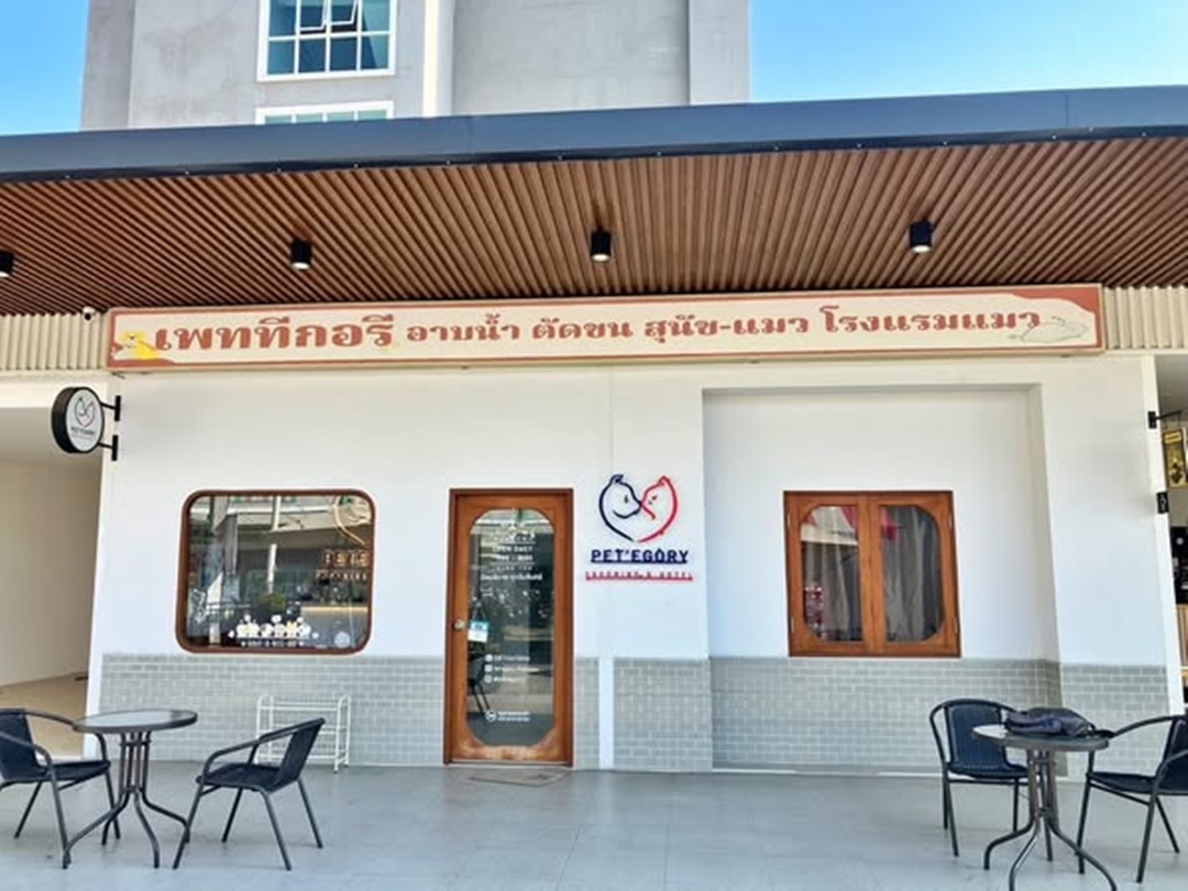 เซ้งร้านอาบน้ำ-ตัดขน-โรงแรมแมว หน้า ม.เกษตรศาสตร์กำแพงแสน  .