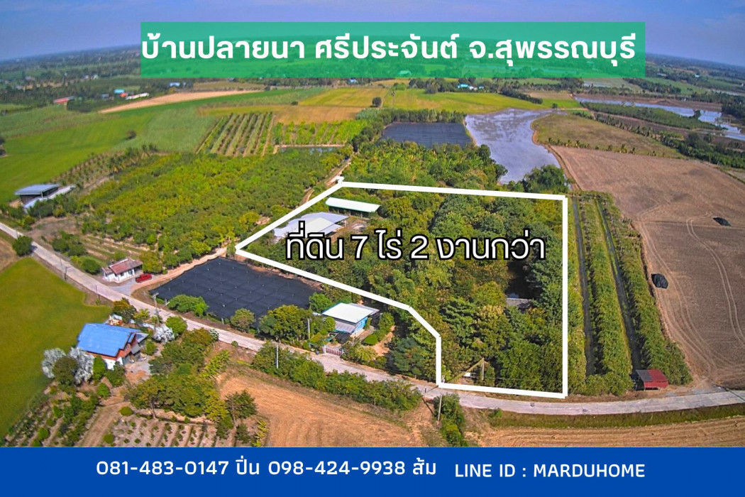 ที่ดิน พร้อมโรงงาน สวนป่า เนื้อที่ 7 ไร่ 2 งานกว่า ต.ปลายนา อ.ศรีประจันต์ จ.สุพรรณบุรี: aa00000598471