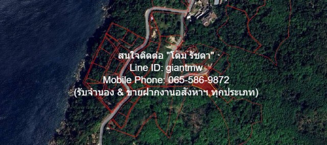 ขายที่ดินเปล่าบนภูเขา และวิวทะเล ต.กมลา อ.กะทู้ จ.ภูเก็ต 2 ไร่  .