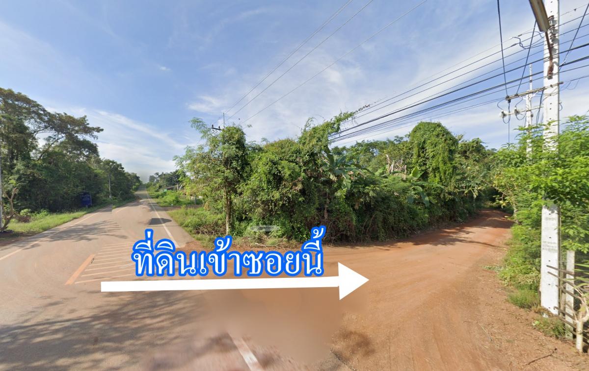 ขายที่ปลูกพืชไร่ 13 ไร่ ต.ลาดตะเคียน อ.กบินทร์บุรี จ.ปราจีนบุรี