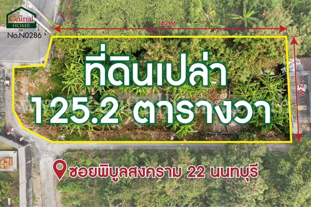 ที่ดินเปล่า 125.2 ตารางวา ซอยพิบูลสงคราม 22 ซอยวัดกำแพง  .