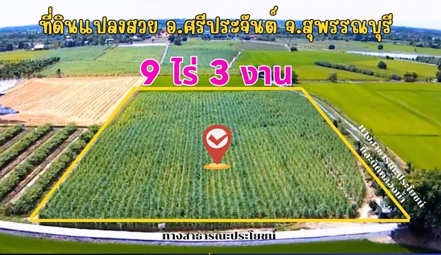 ที่ดิน ต.ดอนปรู อ.ศรีประจันต์ จ.สุพรรณบุรี  .