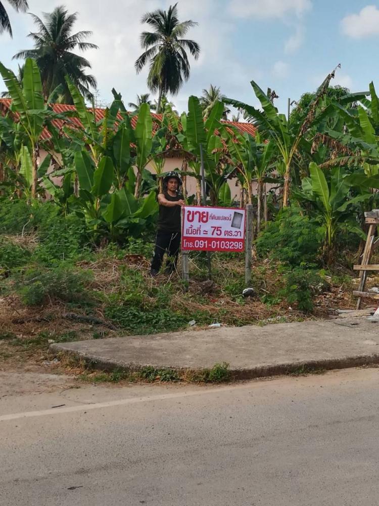 ขายที่ดินในตัวเมืองสตูล ขนาด 75 ตรว. เจ้าของขายเอง