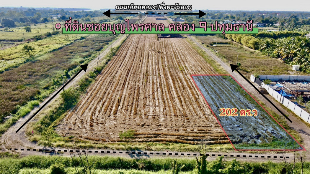 ขายที่ดินบึงบาซอยบุญไพศาล2เนื้อที่ 202 ตรว. หนองเสือติดถนน2ด้าน ใกล้ถนนเส้น305-5กม. จ.ปทุมธานี: aa00000596267