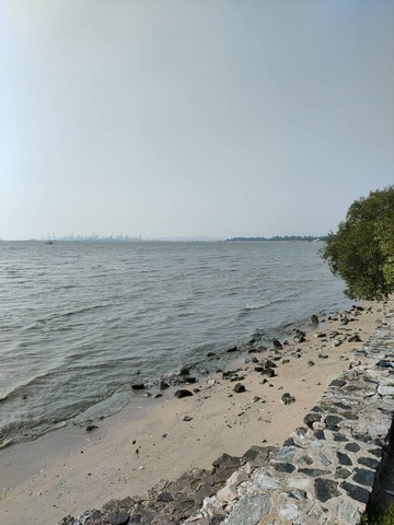 ขายที่ดินแปลงสวยเป็นชายหาดส่วนตัว  ติดทะเลพัทยา (หาดกระทิงลาย)   .