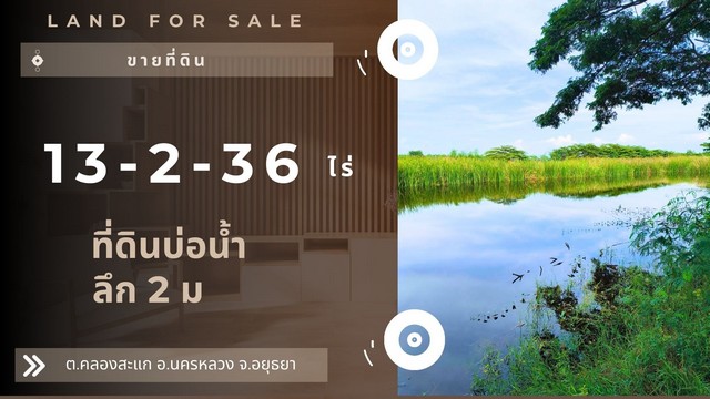 ขายด่วน ที่ดินคลองสะแก อ.นครหลวง อยุธยา เนื้อที่ 13-2-36 ไร่   .