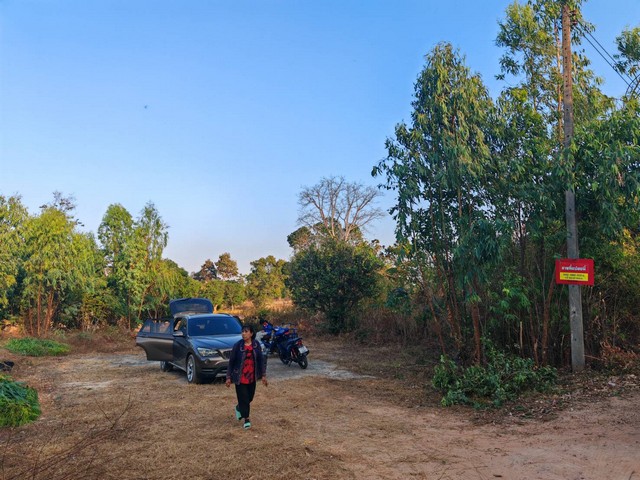 ขายที่ดิน 20 ไร่ เจ้าของขายเอง อำเภอกุฉินารายณ์ จังหวัดกาฬสินธุ์  .