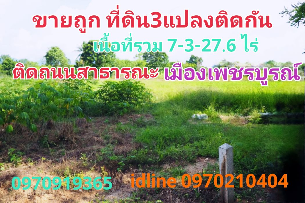 ขาย ที่ดิน เมืองเพชรบูรณ์ 7 ไร่ 3 งาน 27.6 ตร.วา ติดถนนสาธารณะ เหมาะทำบ้านสวนเกษตร: aa00000600380