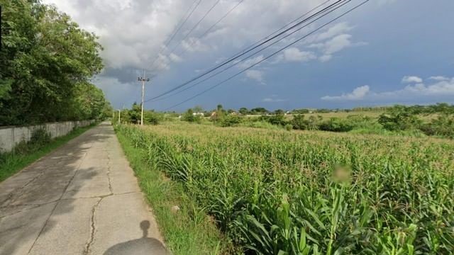 ขาย ที่ดิน ถนนสายบ้านตะเคียนทอง อำเภอปากช่อง นครราชสีมา  .