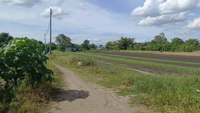 ขาย  ที่ดิน 11-1-76 ตร.ว.. ใกล้ถนนราชพฤกษ์ (7)  .