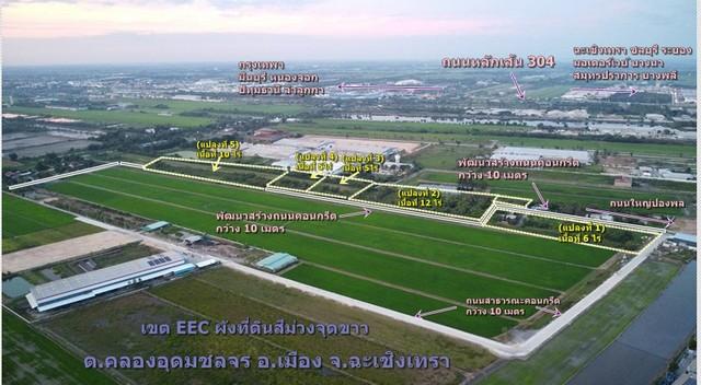 ขายที่ดิน เนื้อที่ 40 ไร่ เขต EEC 40 ถมที่ดินให้ฟรี เมืองฉะเชิงเท  .