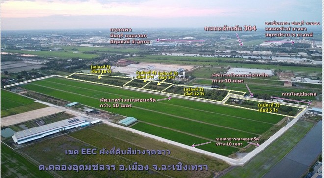 ขายที่ดินเขต EEC ผังม่วง เนื้อที่ 5 – 10 ไร่  อ.เมือง ฉะเชิงเทรา   .