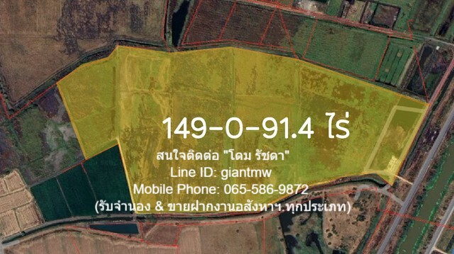 ขายที่ดินเพื่อการเกษตรกรรม 149-0-91.4 ไร่ ต.หนองแก อ.พระพุทธบาท  .