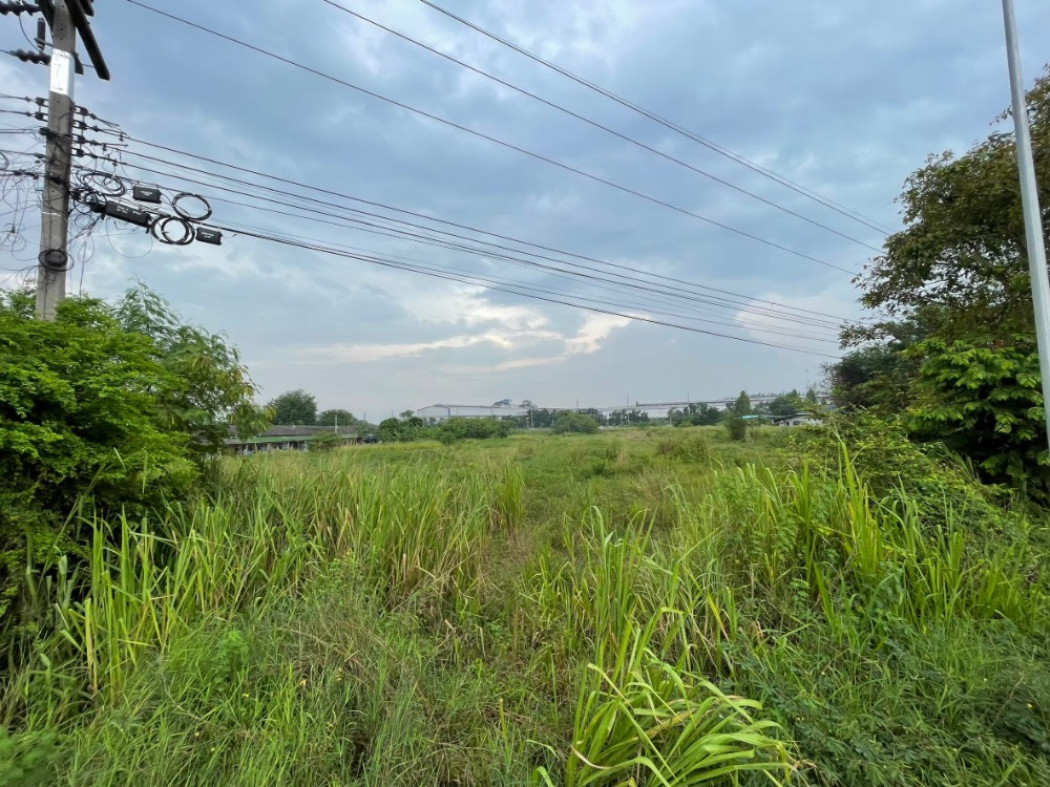ขาย ที่ดิน สีม่วง สร้างโรงงานได้ บ้านบึงชลบุรี ID-13863