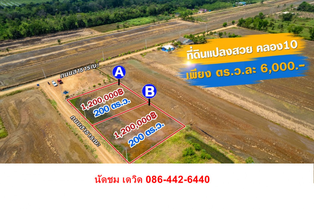 ขาย ที่ดิน ตำบล ประชาธิปัตย์ อำเภอธัญบุรี ปทุมธานี ID-13915