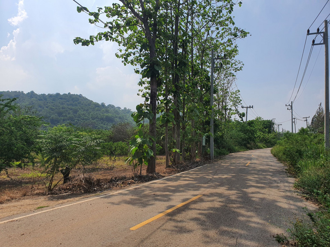 ขาย ที่ดิน เขาใหญ่ ต.​หนองน้ำแดง​ อ.ปากช่อง 11 ไร่ ​ด้านหลังติดภูเขา น่าอยู่มาก​