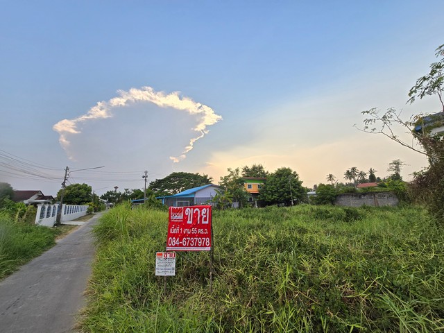 ขายที่ดินเปล่า หลังร้านอาหารครัวครูกุ้ง อ.เมืองพิษณุโลก.