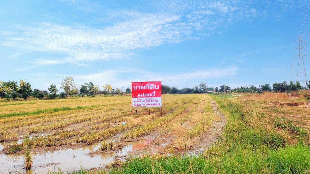 ขายที่ดินทำเลทอง พื้นที่ดิน  อ.บ้านธิ จังหวัดลำพูน 