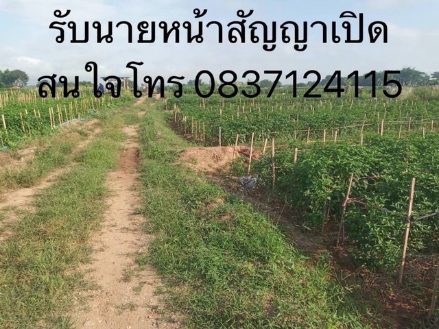 โปรลดแรงเอาใจลูกค้าแถมราคาคุยต่อรองได้  ขายที่ เหมาะทำการเกษตร มี.