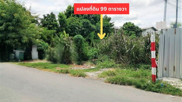 ขายที่ดินดอนเมือง 99 ตรว.ใกล้สนามบินดอนเมือง ดอนเมือง กรุงเทพ.