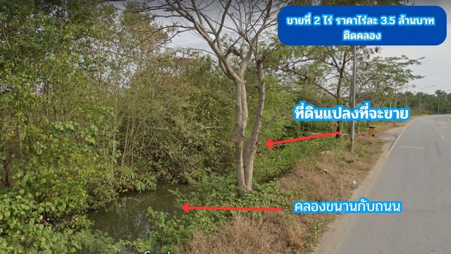 ขายที่ดิน ติดคลอง 2 ไร่ ต.สนามจันทร์  อ.บ้านโพธิ์ จ.ฉะเชิงเทรา