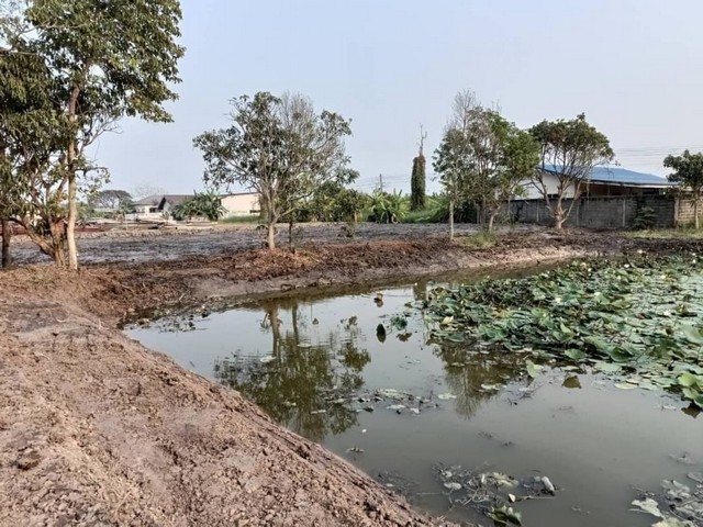 ที่ดินคลองแปด ซอยบึงบอน20 หนองเสือ ปทุมธานี 200 ตรว..