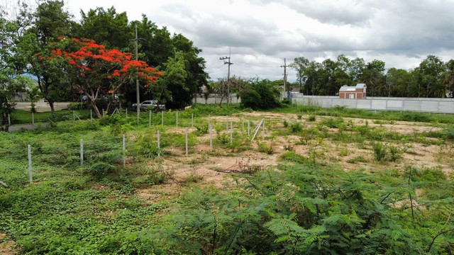 ที่ดินพร้อมสร้างบ้านใกล้สภอ.แม่โจ้ถมแล้วน้ำไฟพร้อม