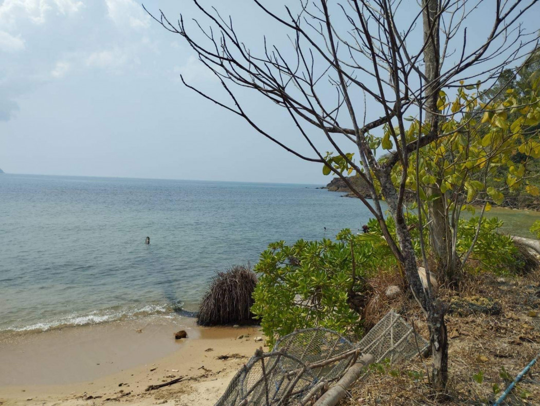 ขาย ที่ดิน ใกล้หาดมาก บนเกาะช้าง ที่ดิน บนเกาะช้าง 24 ไร่ 2 งาน ที่สวยในราคาถูก 100ล้าน