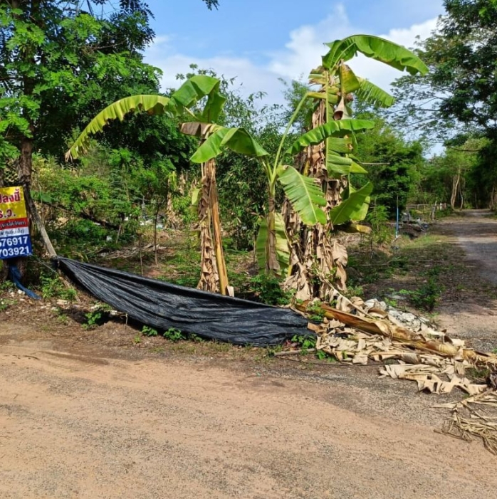 ขายที่ดินติดรั้วรพ.ศูนย์มะเร็งอุดร138ตรว.