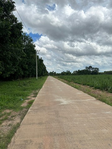 ขายที่ดิน 350,000 /ไร่ จังหวัดพิษณุโลก อำเภอเมืองพิษณุโลก ตำบล บ้.