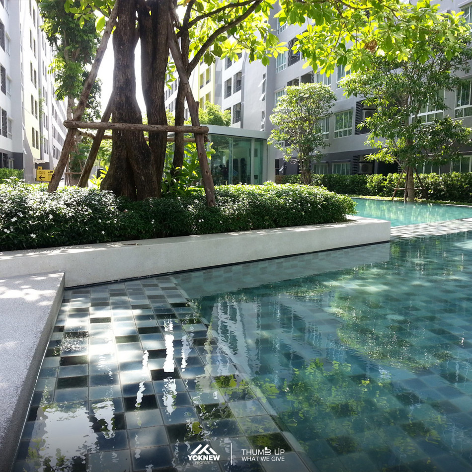 คอนโด Elio Sukhumvit 64 ห้องวิวสระว่ายน้ำ ในราคาพิเศษ