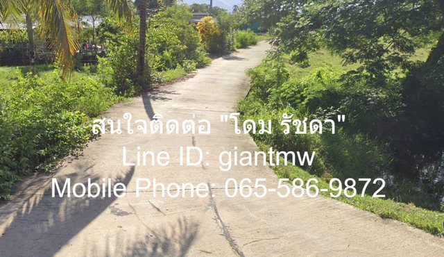 ขายที่ดินสวนมะพร้าวติดคลองสาธารณะ (กุยบุรี จ.ประจวบฯ.) 5-2-20.4 ไ.