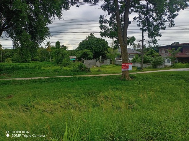 ขายที่ดินพร้อมบ้านปูนชั้นเดียว อำเภอหนองวัวซอ จังหวัดอุดรธานี.