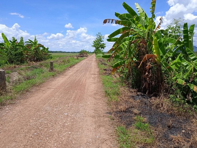 ขายที่ดิน อำเภอเวียงชัย จังหวัดเชียงราย.