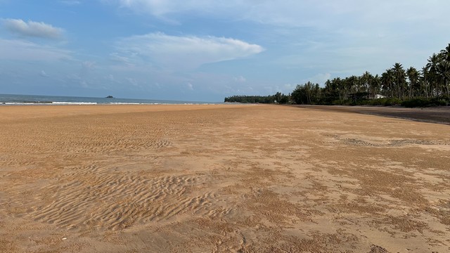 สำหรับชาวนักลงทุนและผู้หาซื้อทรัพย์ดีดี    ขายที่ดินติดทะเล หาดฝั.