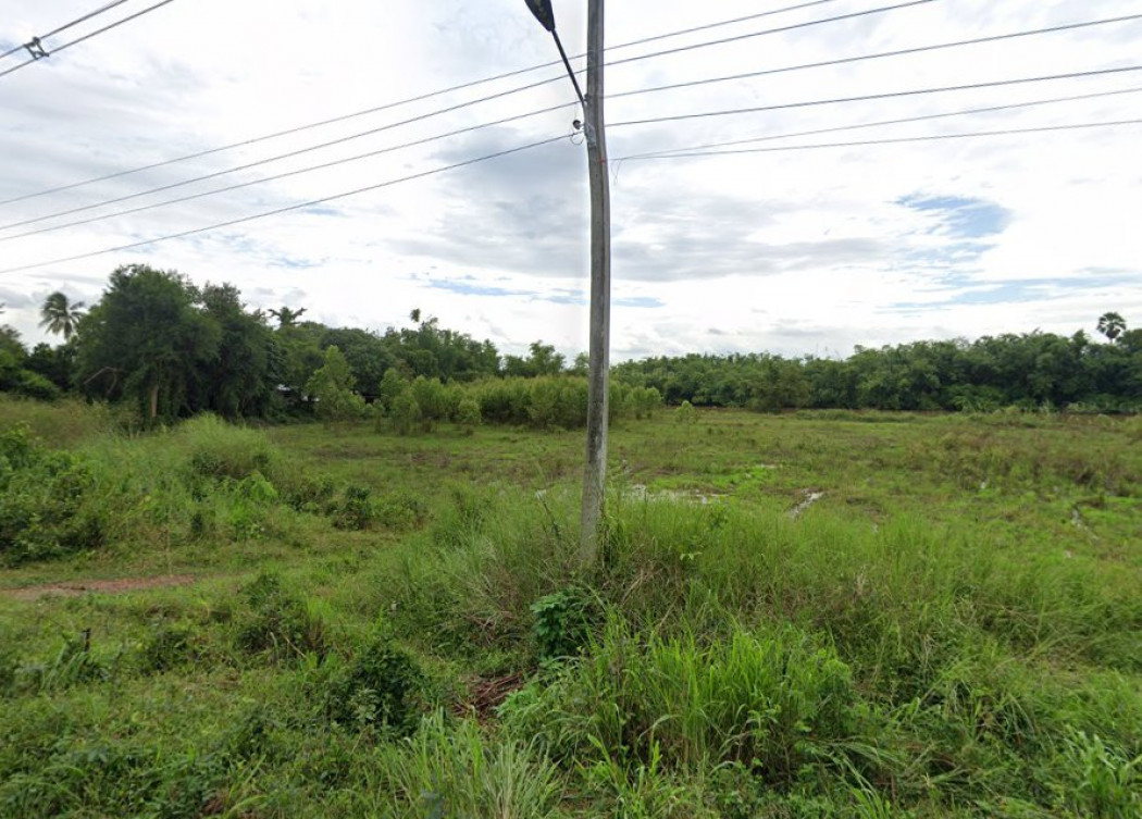 ขายที่ดินบ้านทามติดแม่น้ำบางปะกง(แม่น้ำปราจีน)เนื้อที่เกือบ3งานพื้นที่งอก ติดถนนเส้นปจ.4043 อ.ศรีมหาโพธิ ปราจีนบุรี