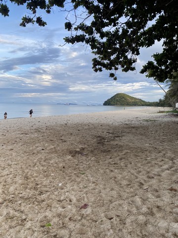 ขายอสังหาริมทรัพย์บ้านที่ดิน ขาย ที่ใกล้ทะเล ใกล้หาดสะพลี.