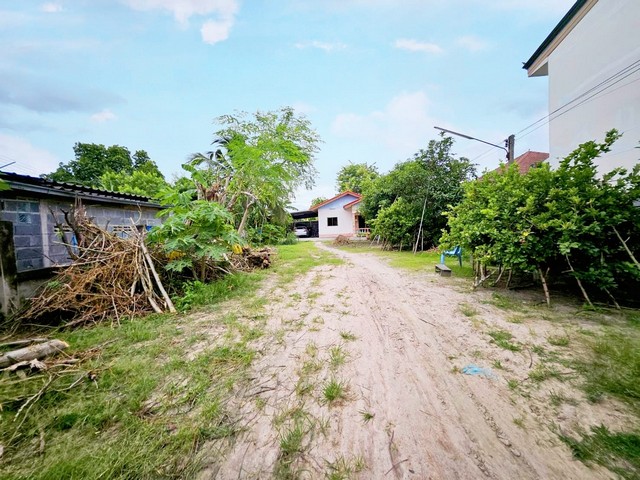 ขายด่วนที่ดินใกล้อมตะนคร บ้านดีบ้านสวยชลบุรี.