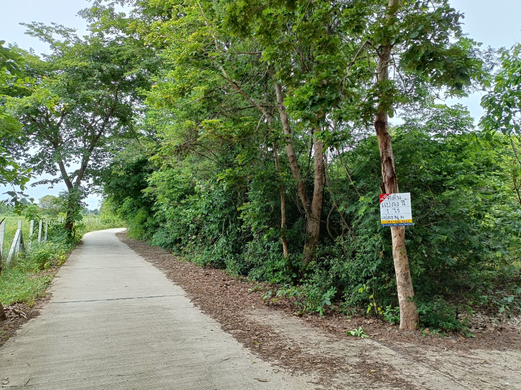 ขายที่ดิน ใกล้สถานีรถไฟความเร็วสูงบ้านพะเนา มะเริง นครราชสีมา 1 ไร่