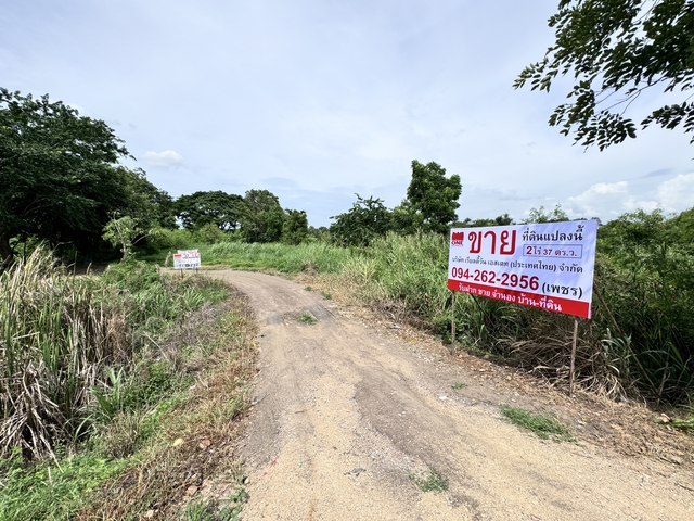 ขาย ที่ดินติดถนนทางหลวง3309  ต.สามคิ้ว อ.สามโคก จ.ปทุมธานี.