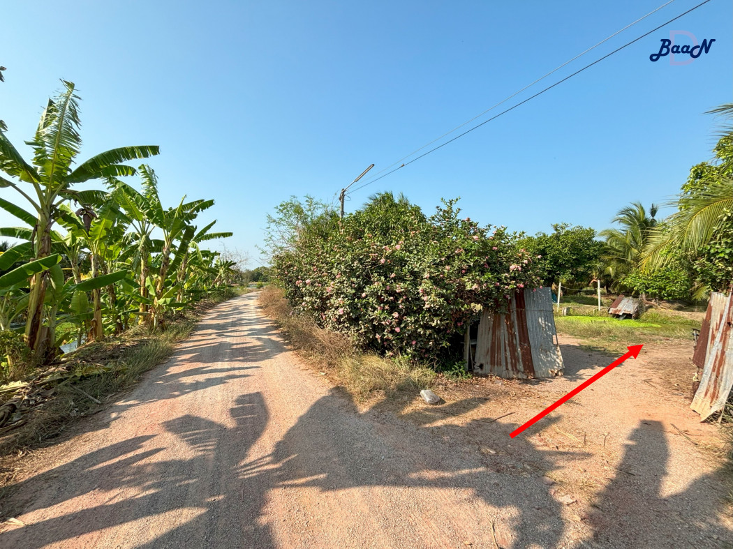 ขาย ที่ดิน สวนมะพร้าวดอนกรวย 31 ไร่ 25 ตรว มีน้ำเข้าถึงอุดมสมบูรณ์