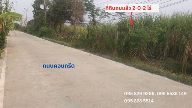 ขายที่ดิน 2-0-2ไร่ ใกล้มอร์เตอร์เวย์9 คลองสาม คลองหลวง ปทุมธานี.