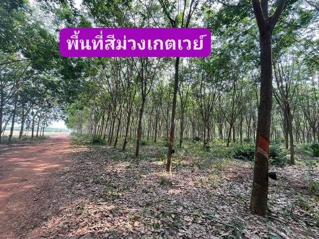 ขายที่ดินพื้นสีม่วงนิตมเกตเวย์​.