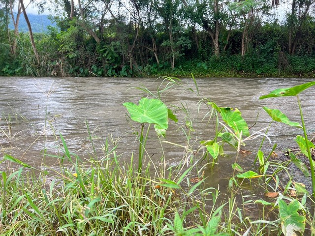 ที่ดินริมแม่น้ำ....วิวดอยภูคา...ใกล้แหล่งท่องเที่ยว...อ.ปัว  .