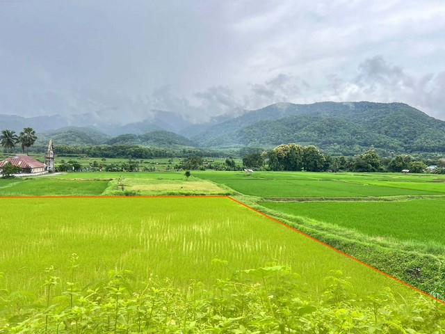 ที่ดิน...วิวดอยภูคา...ใกล้แหล่งชุมชน...ใกล้แหล่งท่องเที่ยว  .