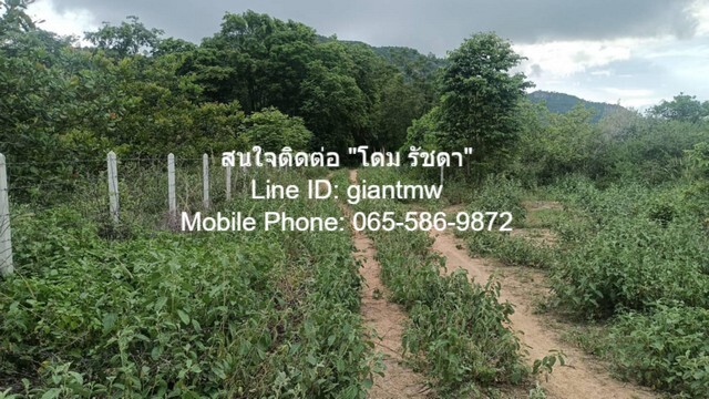 ขายทิ่ดินเปล่า (วิวภูเขา) ต.หัวหิน อ.หัวหิน จ.ประจวบคีรีขันธ์ 1 ไ.