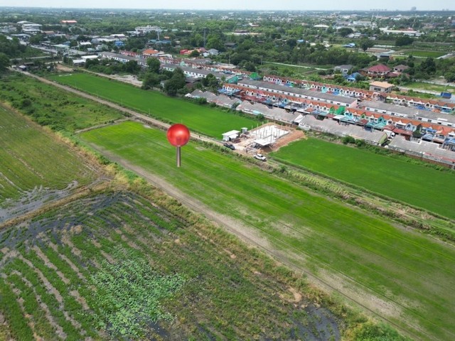 ขายที่ดิน คลอง 2 คลองหลวง ใกล้ตลาดไท ม.ธรรมศาสตร์รังสิต.